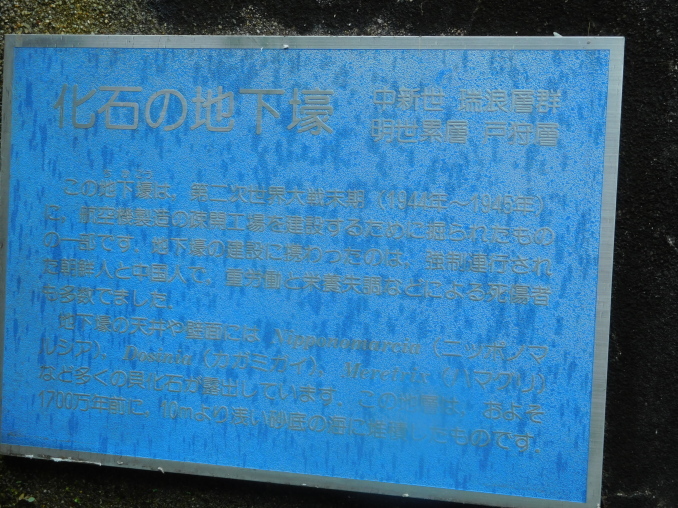 e0345320_13294945.jpg
