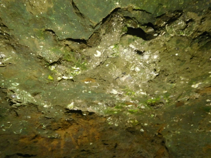 e0345320_13302898.jpg
