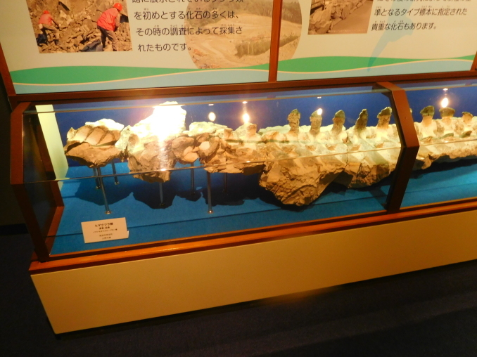 e0345320_13321642.jpg