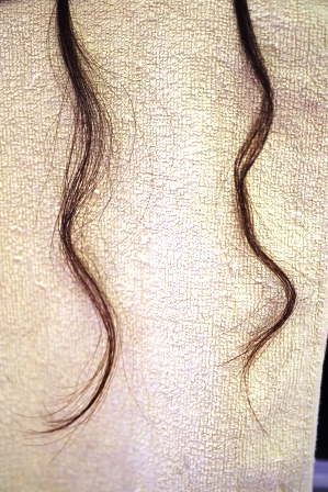 c0109726_15411165.jpg
