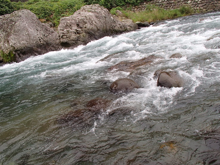 d0172227_8452519.jpg