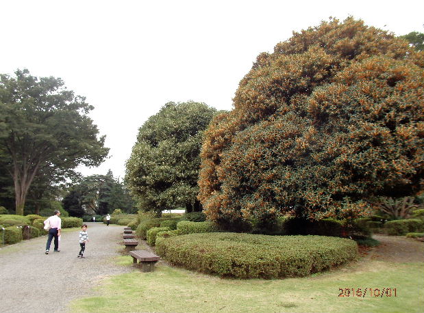 a0108328_2149053.jpg