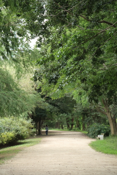 f0229832_12084663.jpg