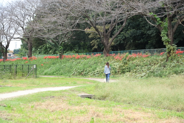 f0229832_12085425.jpg