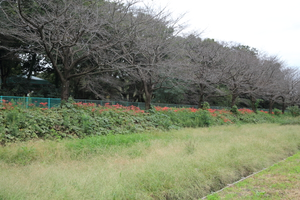 f0229832_12090574.jpg