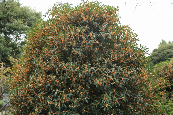 f0229832_12092795.jpg