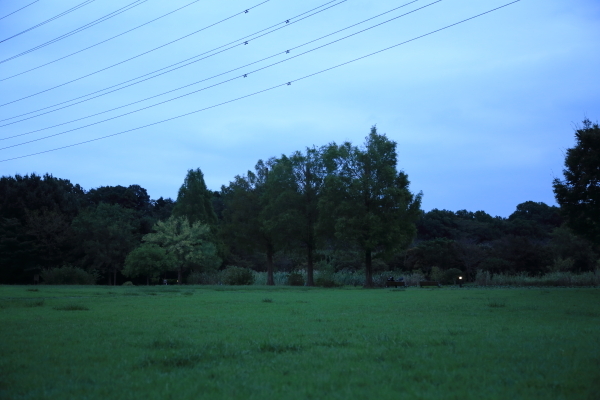 f0229832_12101127.jpg