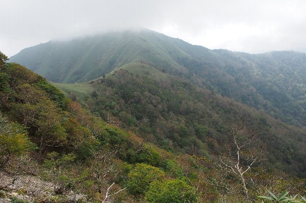 b0149340_21475398.jpg