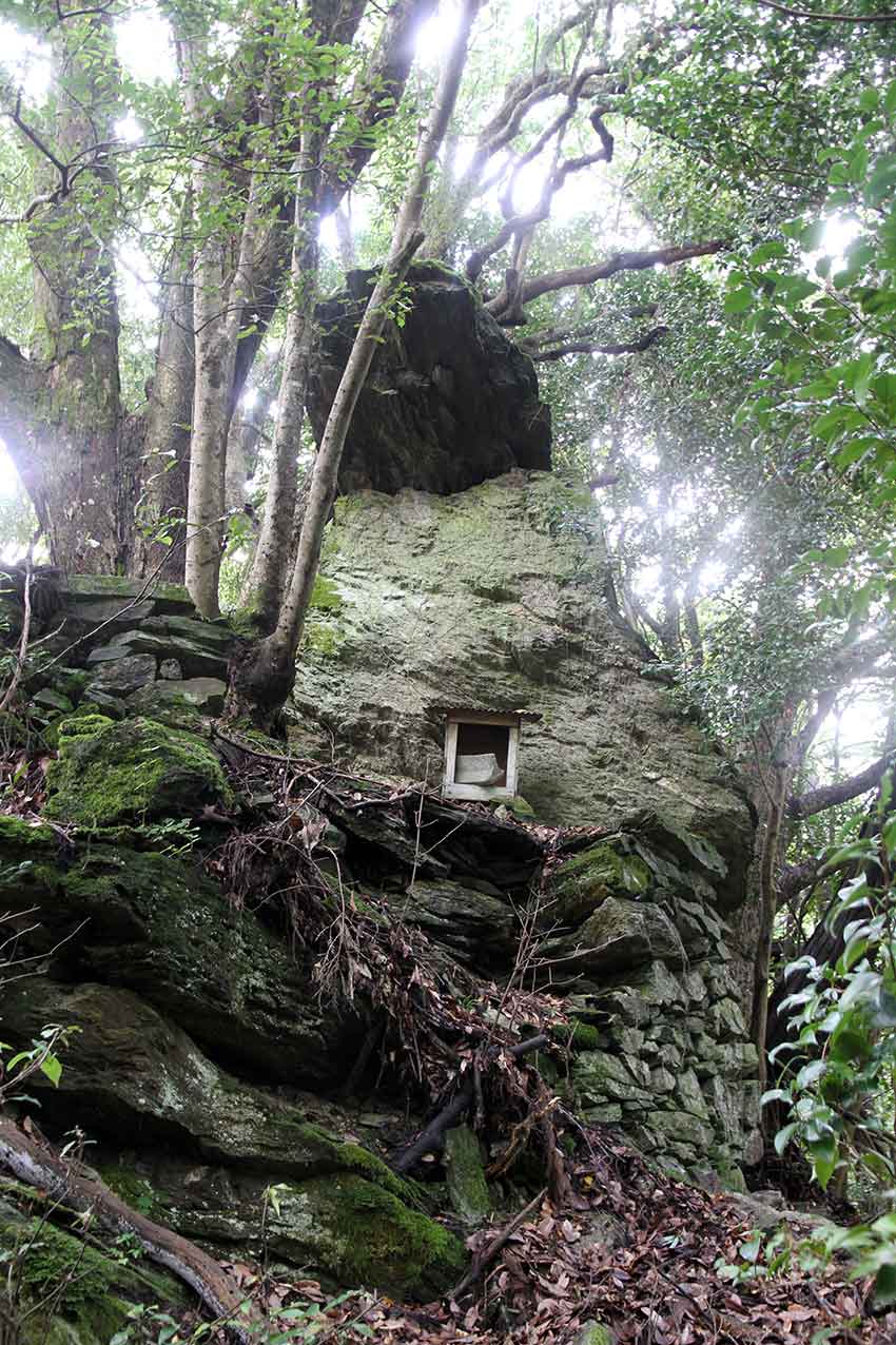 すえドンの阿波の神社ツアーNo.1-01♪ダイジェスト♪_d0058941_8105672.jpg