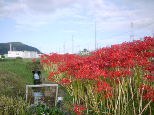 築浅（Ｈ22年）バロー近く・一条工務店の中古住宅：2,300万円_b0362547_08232710.png