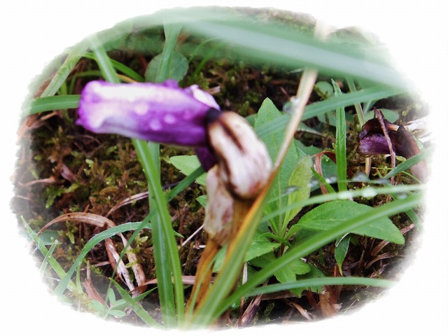d0048350_9393210.jpg