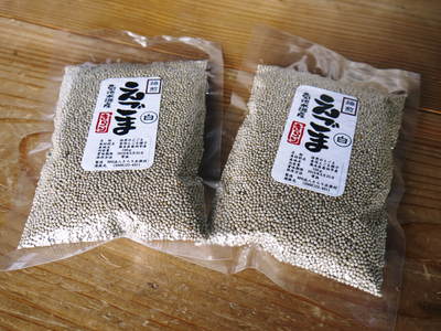無農薬・無化学肥料で育てる「菊池水源産エゴマ」 『白エゴマ』の収穫スタート!_a0254656_18371115.jpg