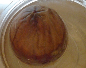 e0010856_713434.jpg