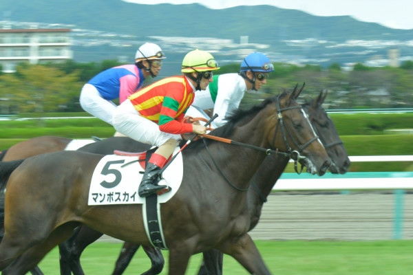 阪神競馬場＊＊_d0344864_21584764.jpg