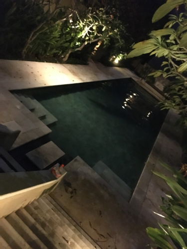 インドネシアの旅⭐️ 1_c0151965_13415080.jpg