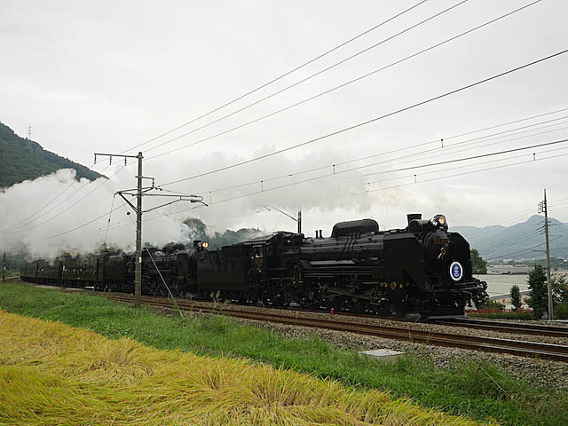 f0199866_08575573.jpg