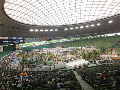 f0260167_84808.jpg