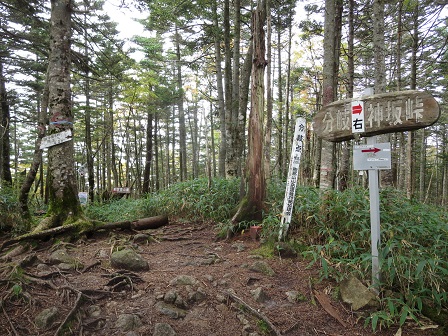 f0302771_14204428.jpg