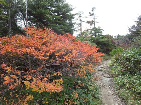 f0302771_14215981.jpg