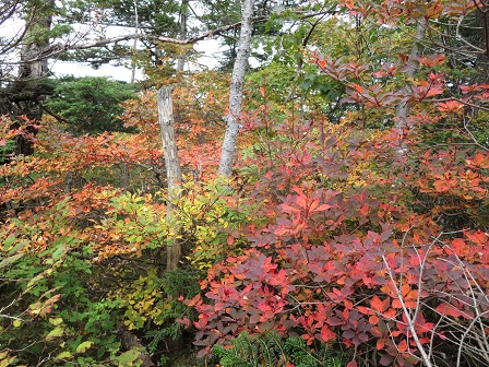 f0302771_14231692.jpg