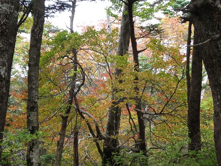 f0302771_14232316.jpg
