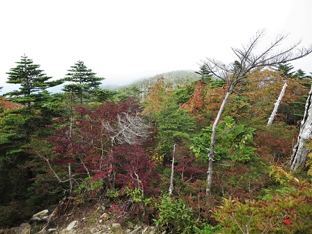f0302771_1423623.jpg