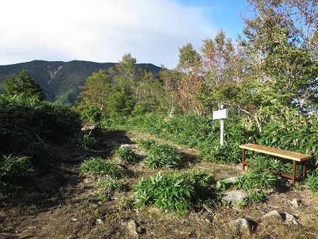 f0302771_1715675.jpg