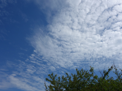 c0265773_01080.jpg