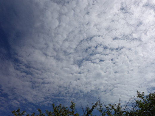 c0265773_01405.jpg