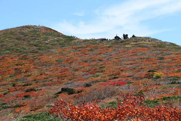 紅葉のお山は大賑わい_e0068873_19364909.jpg