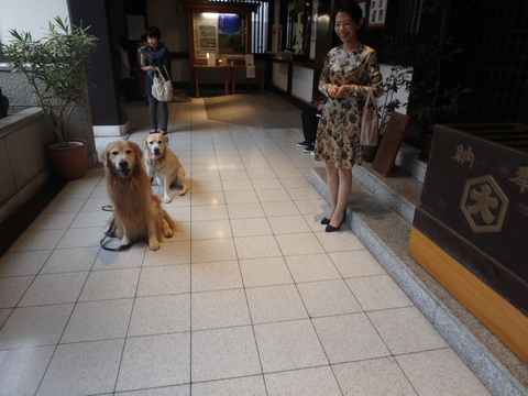 f0052277_1151866.jpg