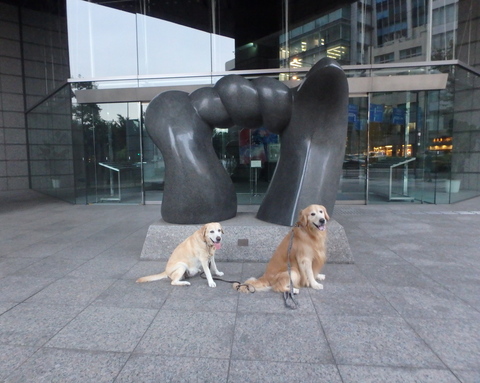 f0052277_1304435.jpg