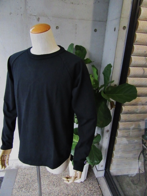 Champion (MADE IN USA) ･･･ T1011　SOLID LONG TEE！★！_d0152280_15203321.jpg