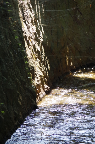 c0324382_22573580.jpg