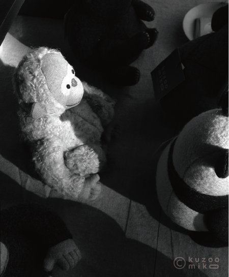b0236284_224651.png