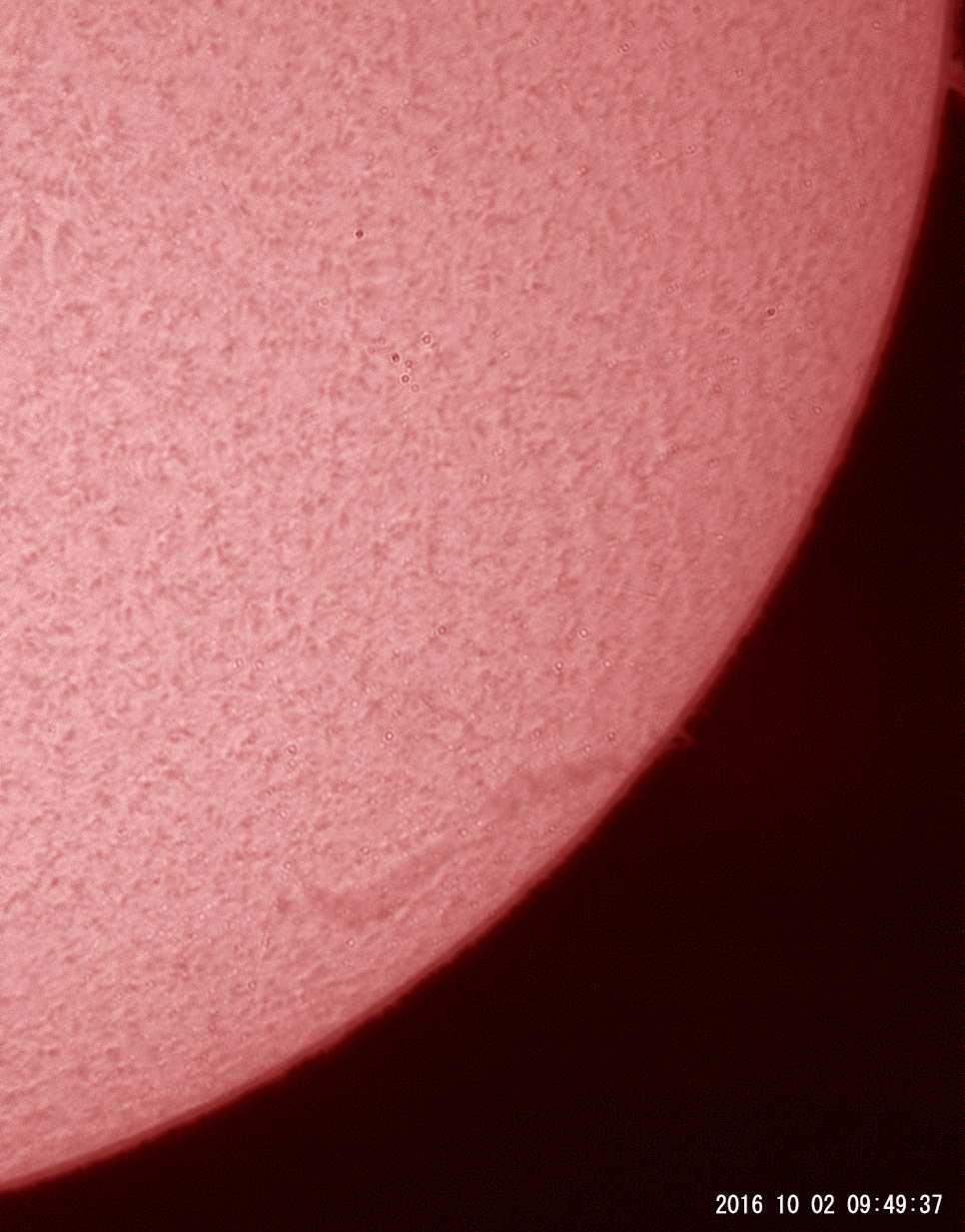 10月2日の太陽_e0174091_12230678.jpg