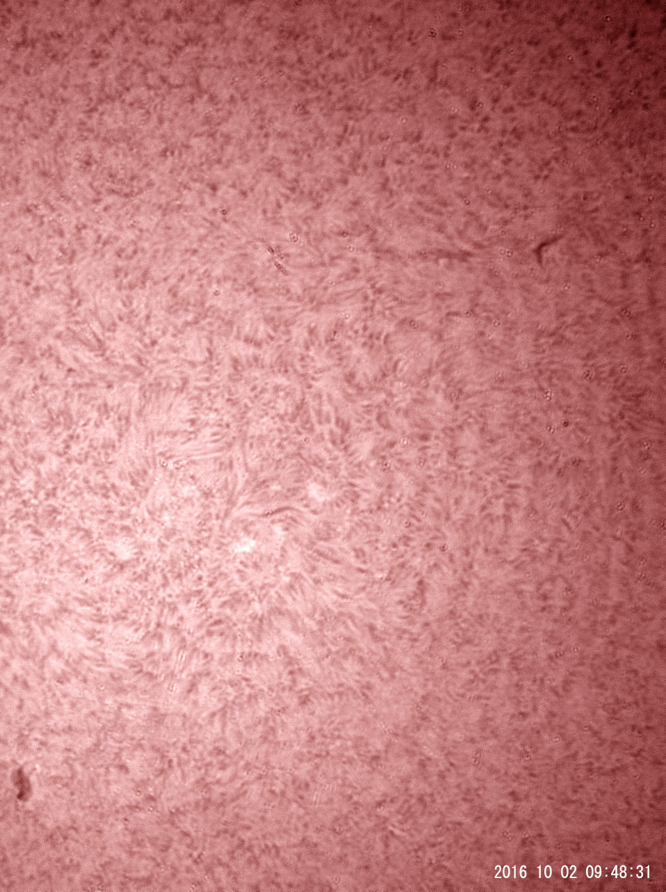 10月2日の太陽_e0174091_12232817.jpg