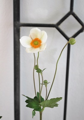 秋明菊(シュウメイギク)と 古いもの_d0249193_15581552.jpg