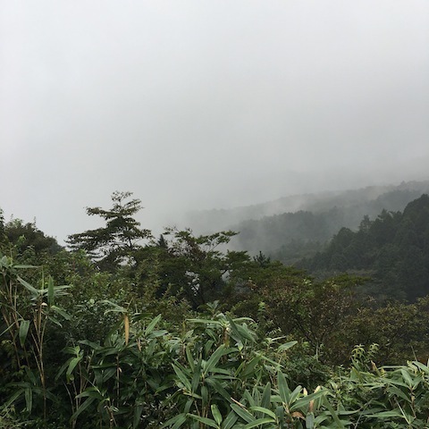 d0343297_10332971.jpeg