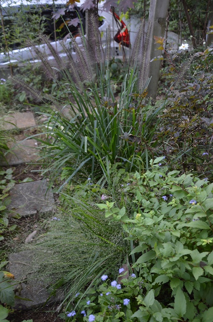 c0124100_10442889.jpg