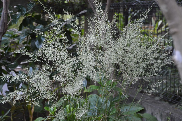 c0124100_10445824.jpg