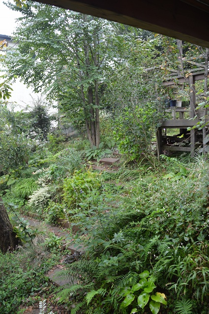 c0124100_10453213.jpg