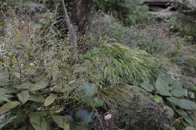 c0124100_1045588.jpg