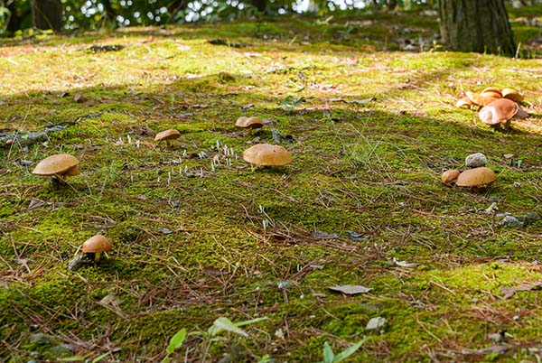 a0044202_1926818.jpg