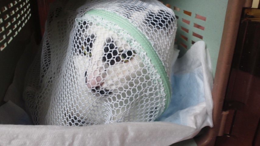 f0242002_00160555.jpg