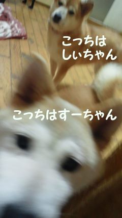 f0242002_22271890.jpg