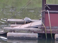 c0133503_11223640.jpg