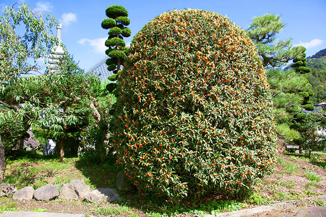 a0087804_10543413.jpg