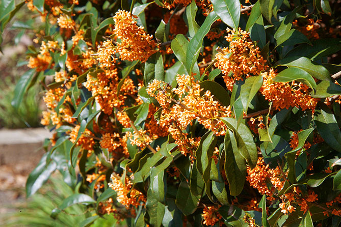 a0087804_10544577.jpg