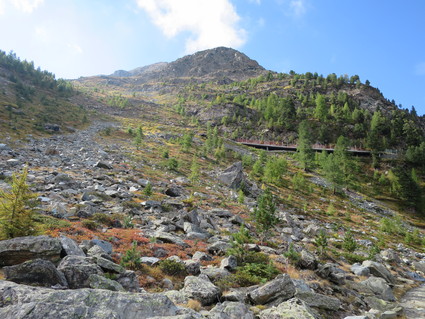 c0212604_20475857.jpg